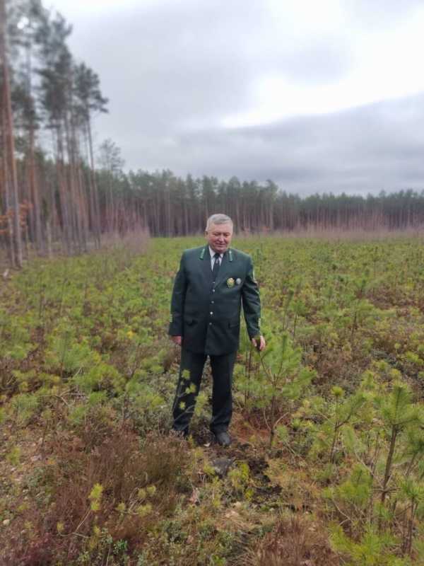 В Беларуси определили «Лучшего лесничего 2023 года»